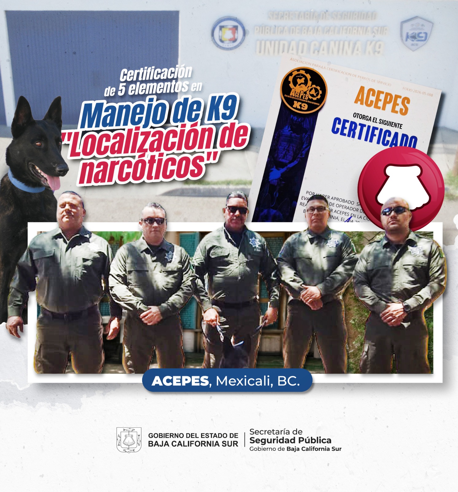 POLICÍAS ESTATALES RECIBEN CERTIFICACIÓN EN OPERACIÓN DE UNIDADES CANINAS